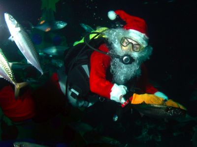 Father Christmas visits London Aquarium