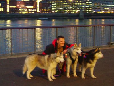 Benedict Allen with Siberian huskies