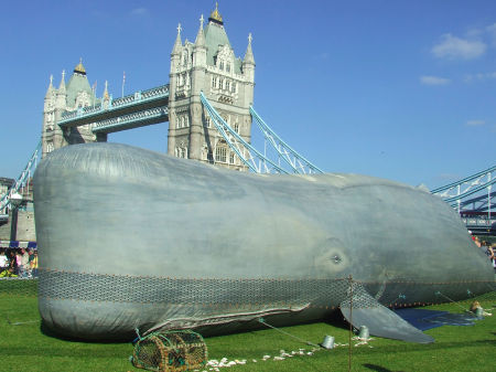 Whale in Potters Fields Park