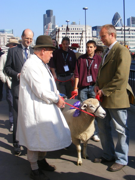 Sheep drive on London Bridge in aid of Lord Mayor’s Appeal