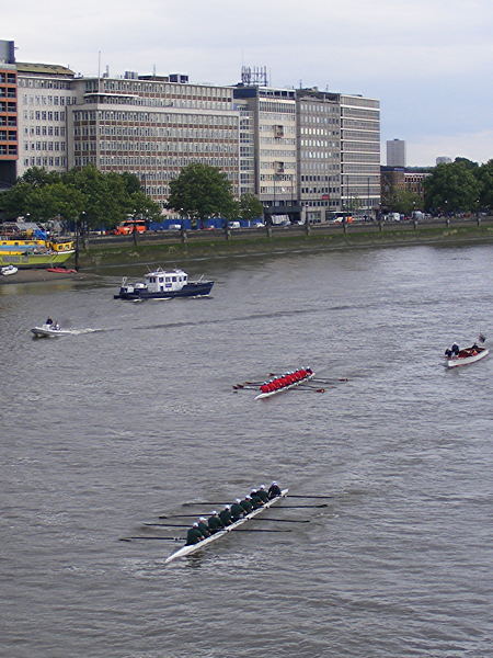 Parliamentary boat race: MPs beat peers