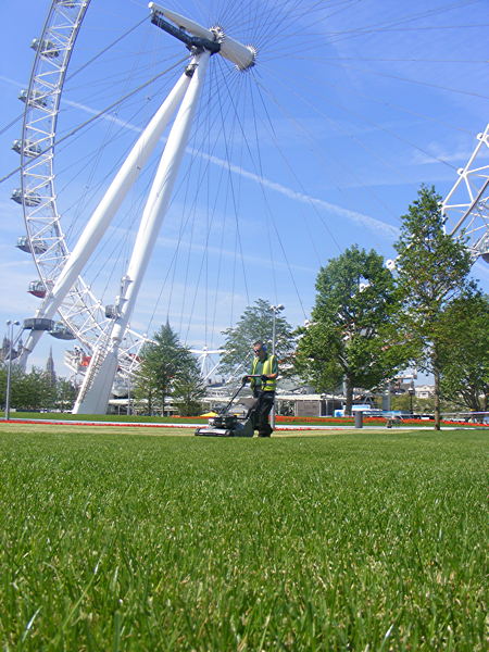 Jubilee Gardens reopens just in time for crucial weekend 