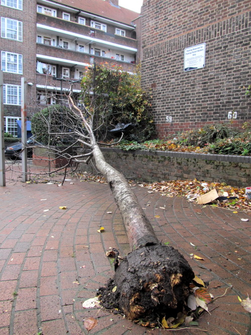 SE1 storm damage in pictures