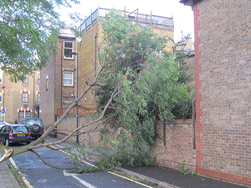 SE1 storm damage in pictures