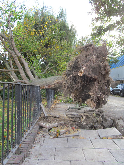 SE1 storm damage in pictures