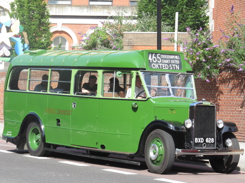 Dozens of vintage buses take part in cavalcade