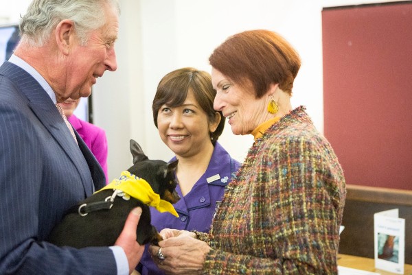 Prince of Wales visits St Thomas' Hospital