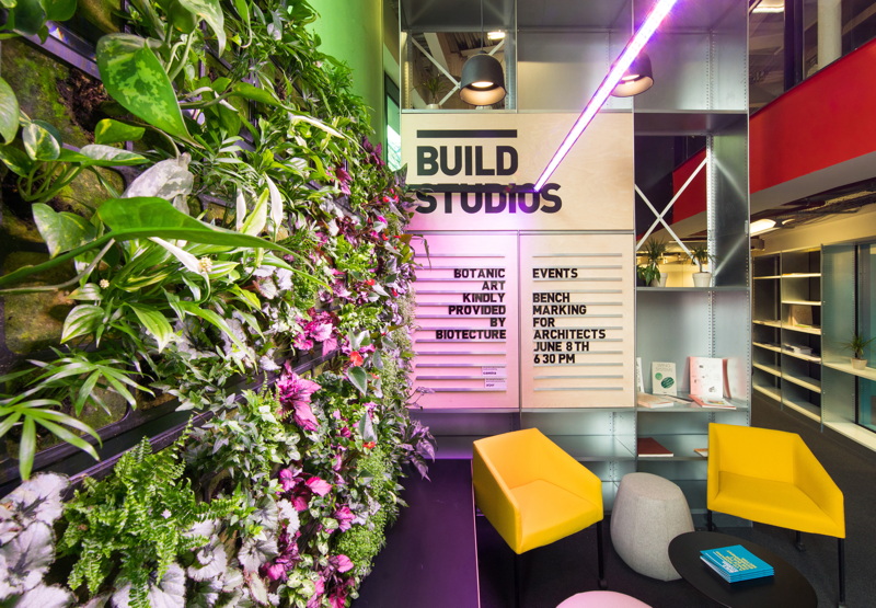 Indoor green wall installed at Waterloo’s Build Studios