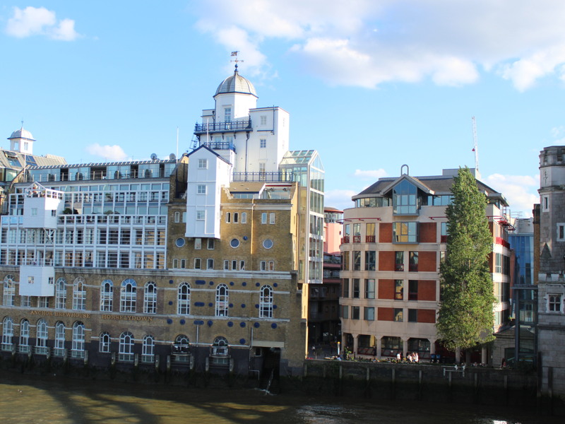 18-metre tree next to Tower Bridge could be felled