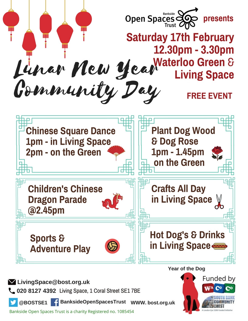 Lunar New Year Community Day at Waterloo Millennium Green