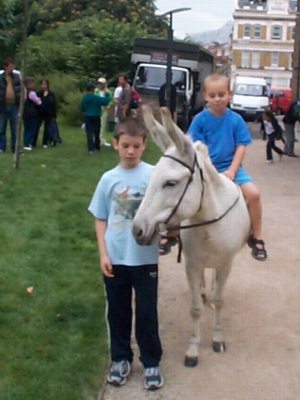 donkey rides