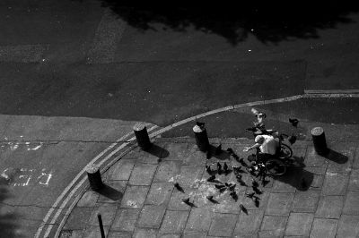 The Pigeon Man