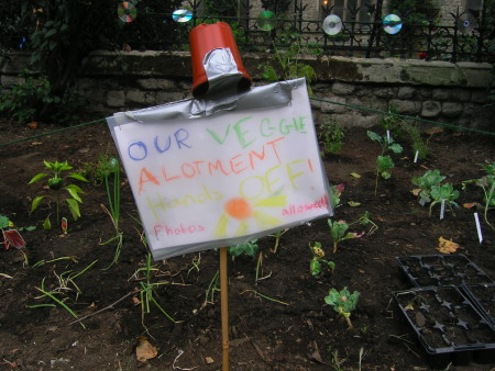 Edible garden