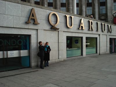 London Aquarium bought by London Eye owners