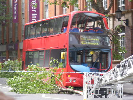 Woman killed as bus hits tree in Tower Bridge Road