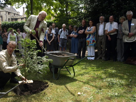 Bishop of London plants yew tree at Lambeth Palace
