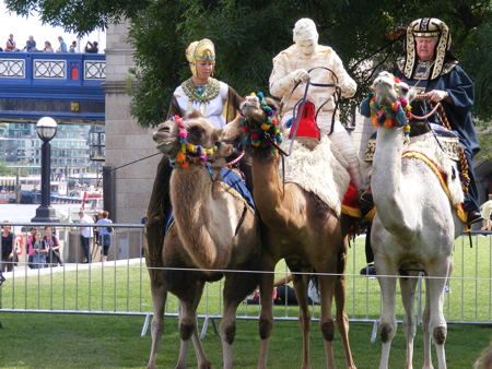 Camel racing in Potters Fields Park