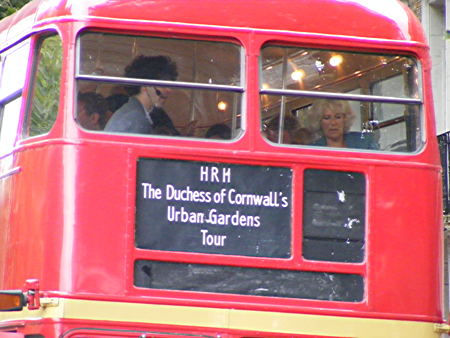 Duchess of Cornwall joins SE1 guerrilla lavender harvest