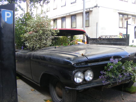 Temporary gardens created in South Bank street