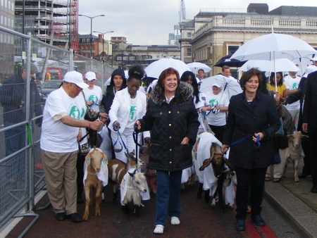 Cherie Blair and Cilla Black lead goats across London Bridge