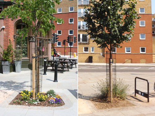 Bungling council cleaner rips out flowers from award-winning garden