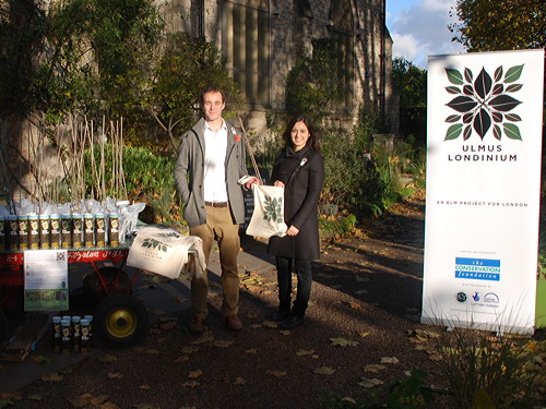 Londoners collect elm trees at Garden Museum