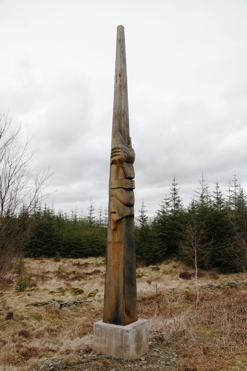 Romeo at Grizedale Forest