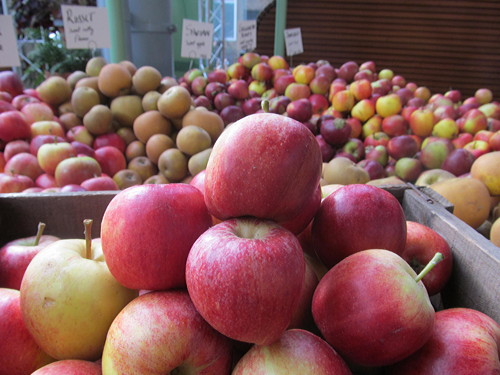 Pictures: Apple Day at Borough Market