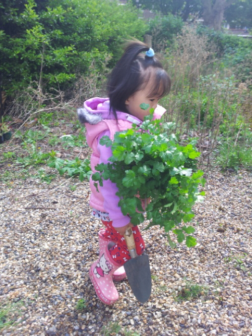 Edible Bankside food growing project wins new backing