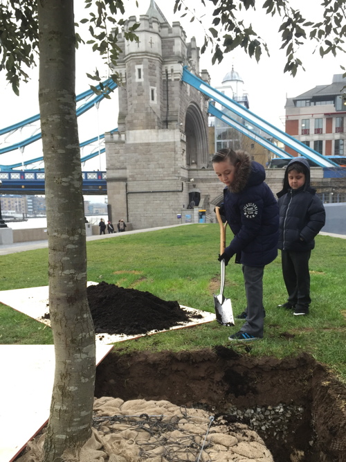 Tower Bridge Primary School pupils plant Potters Fields Park tree