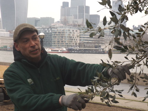 Tower Bridge Primary School pupils plant Potters Fields Park tree