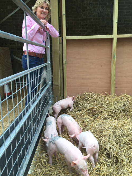 Anthea Turner opens Oasis Farm Waterloo 