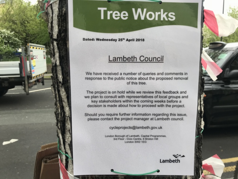 Baylis Road: reprieve for trees due to be felled for bike lane