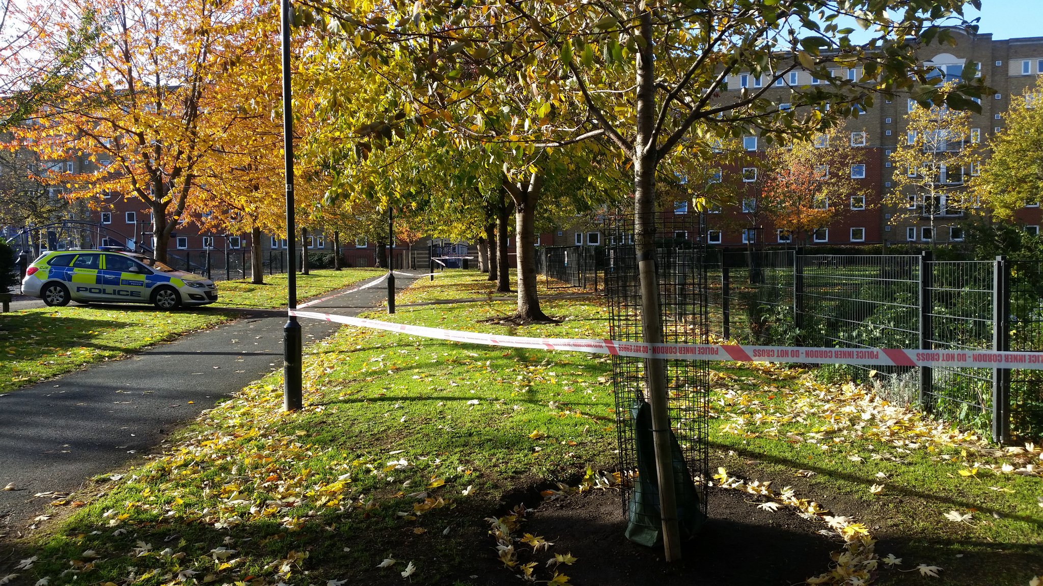 Police investigating ‘serious sexual assault’ in Tabard Gardens